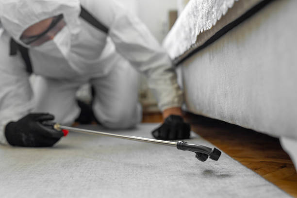 Professional Termite Control technician working in Harlan, IN