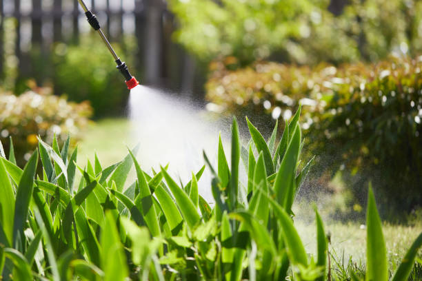 24/7 Emergency Termite Control experts in Harlan, IN