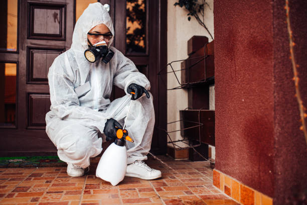 Reliable Termite Control contractor in Harlan, IN by Nex Pest Control