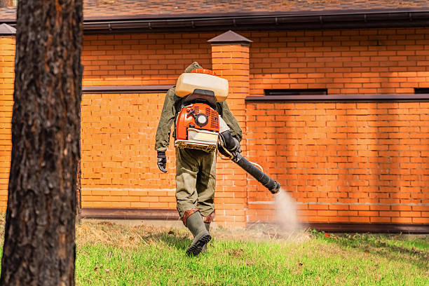 Trusted Cockroach Control service in Harlan, IN - Nex Pest Control